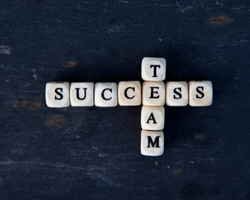 Blocks that form the words "success" and "team" (Success Through Failure episode 355: What the Experts Aren't Telling You: The Incomplete Truth About Success, Failure, and Achieving Your Potential)
