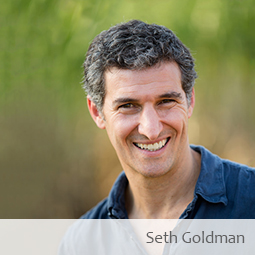 15. Interview with Seth Goldman, CEO of Honest Tea